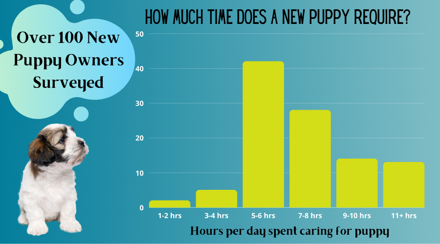 Puppy owners surveyed how much time a puppy takes