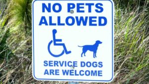 Blue and white sign that says: no pets allowed, service dogs are welcome.